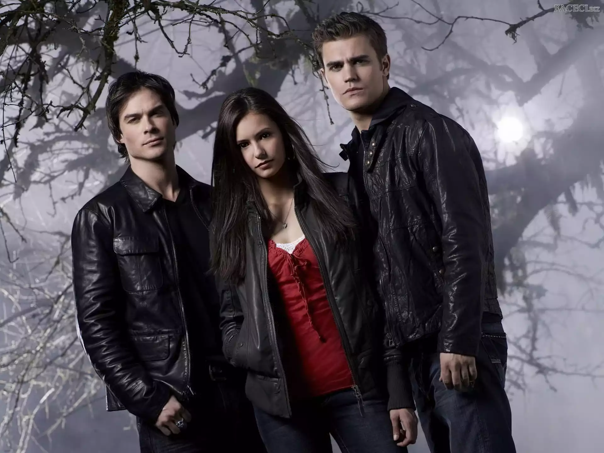 Paul Wesley, Nina Dobrev, The Vampire Diaries, Pamiętniki wampirów, Ian Somerhalder